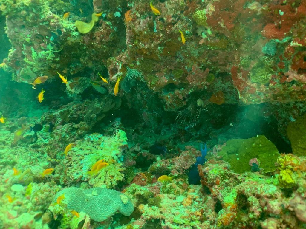 Beach Star Maldives Hangnaameedhoo Kültér fotó